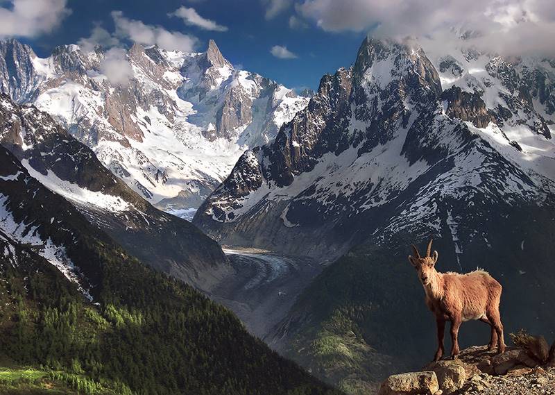 max-rive-06