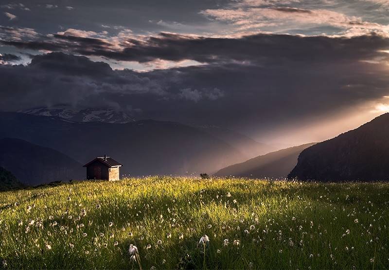 max-rive-07