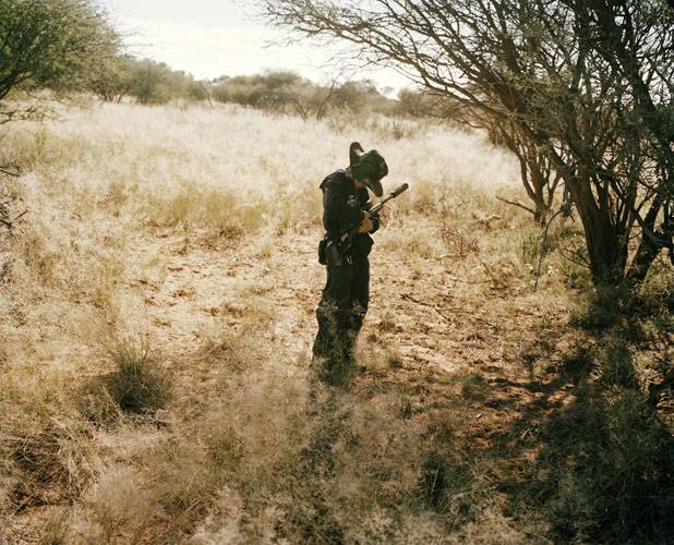 young hunter # II, kalahari, northern cape, south africa