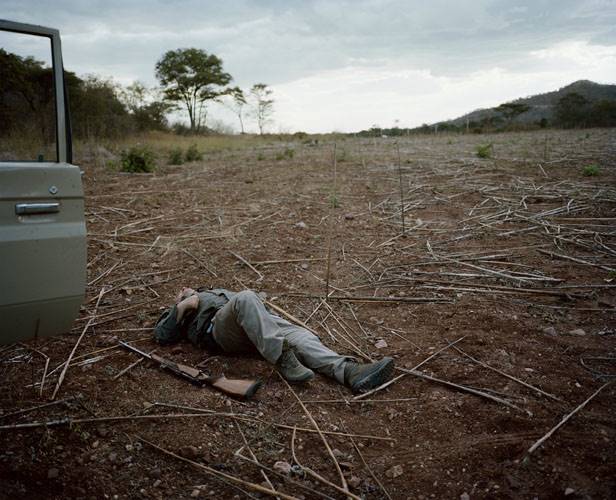 untitled hunter, crop field, zimbabwe