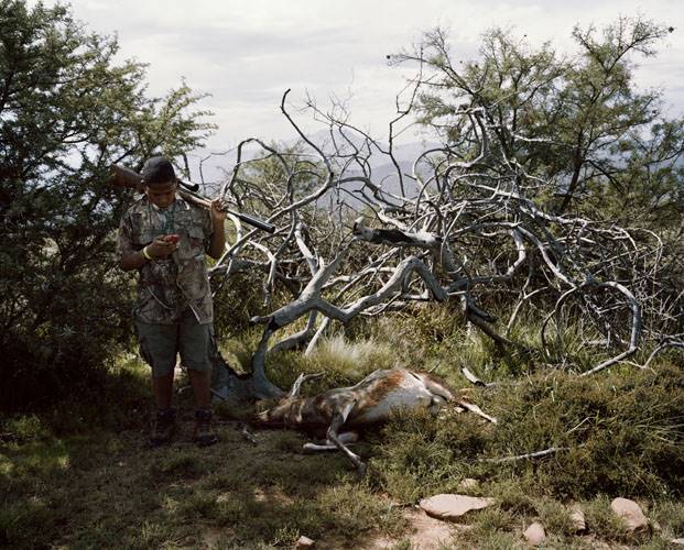 untitled novice hunter, cell phone and blesbok, eastern cape, so