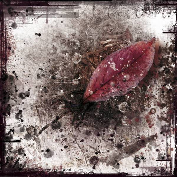 eric-lacombe-09