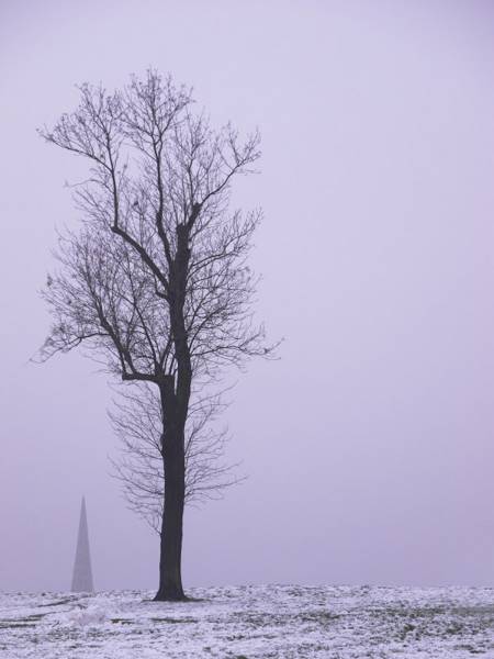 nicolas-ritter-15