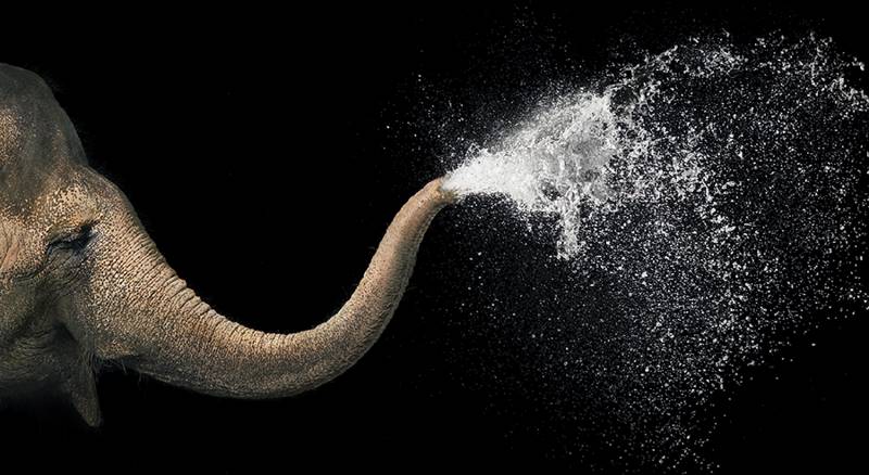 tim-flach_more-than-human_03