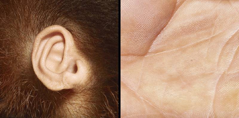 tim-flach_more-than-human_23