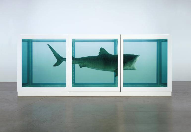 damien-hirst-04