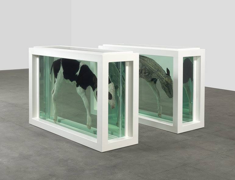 damien-hirst-11