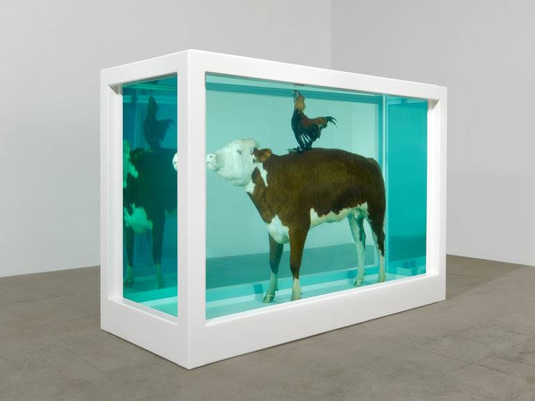 damien-hirst-18