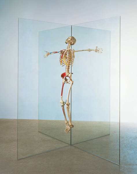 damien-hirst-20