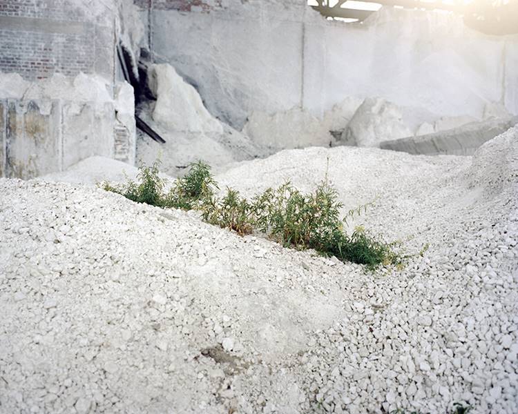 cedric-dubus-10
