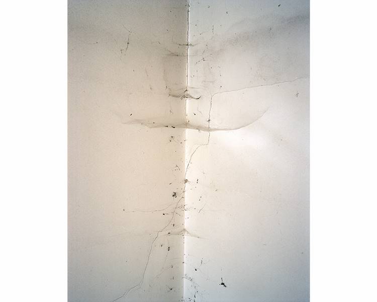 cedric-dubus-19
