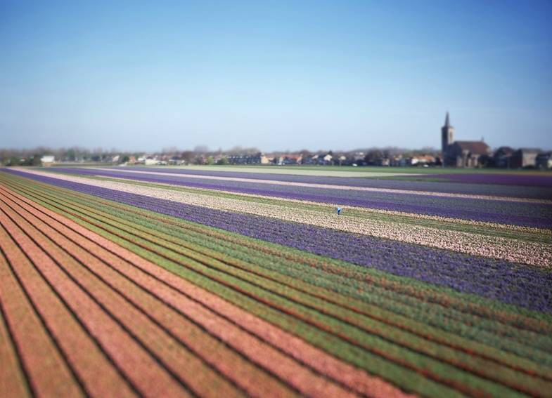 erik-hijweege_holland-04