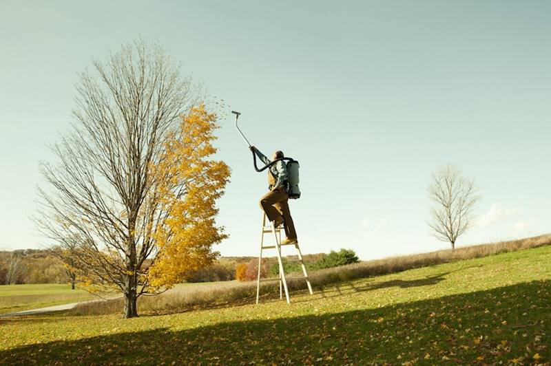 zack-seckler-09