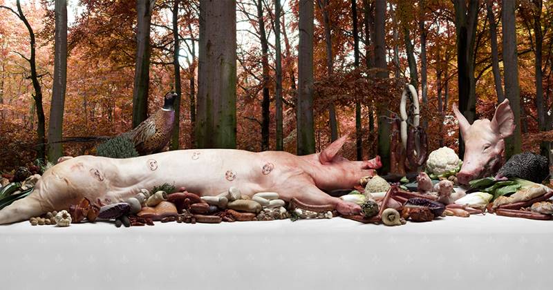claudia-rogge-14