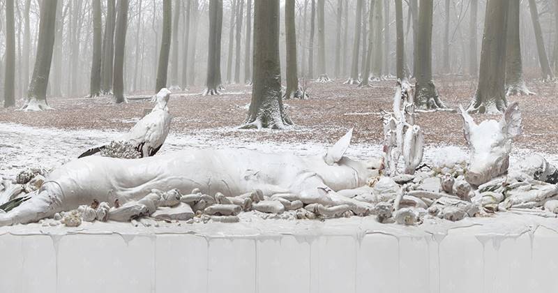 claudia-rogge-15