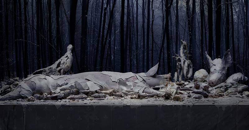 claudia-rogge-16