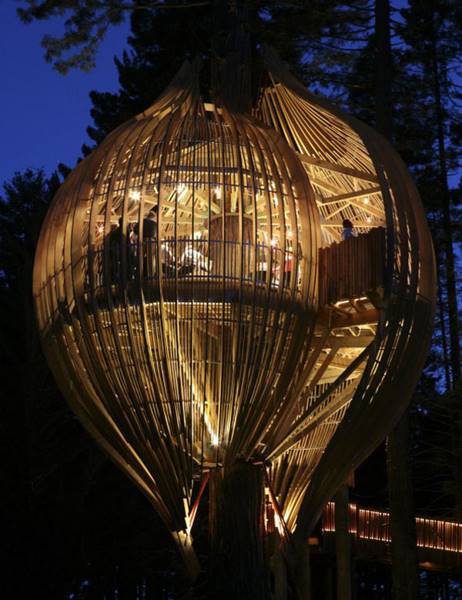 tree-houses-10