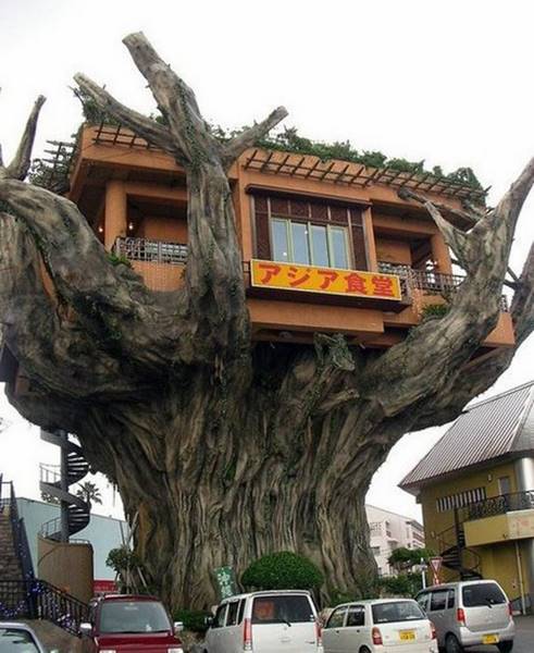 tree-houses-13