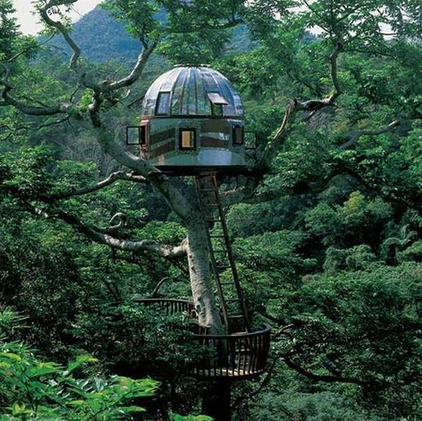 tree-houses-15