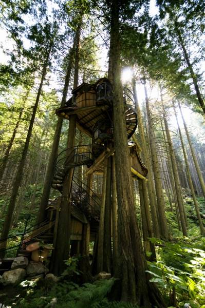 tree-houses-19