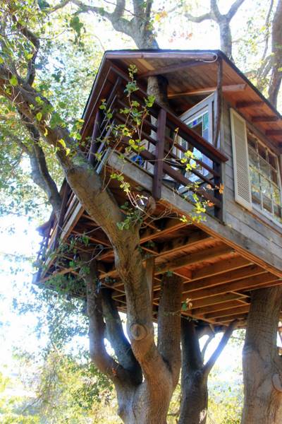 tree-houses-20