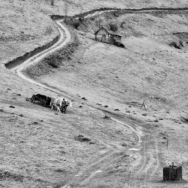 cornel-pufan-17