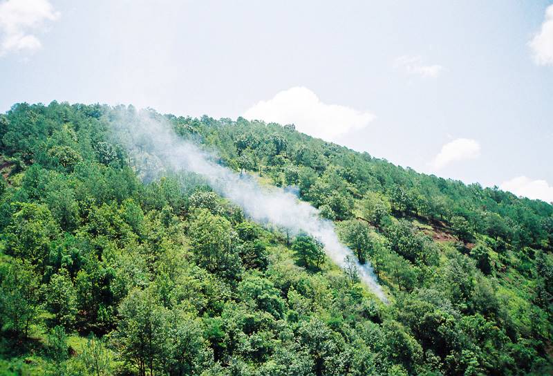 du-yang-06