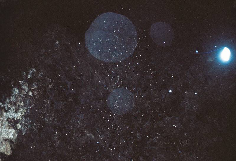 du-yang-13