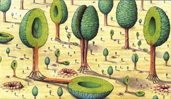 codex-seraphinianus-04