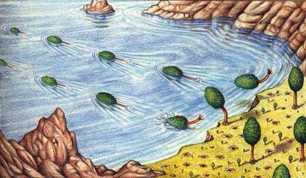 codex-seraphinianus-05