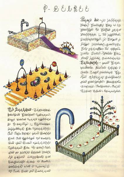 codex-seraphinianus-08