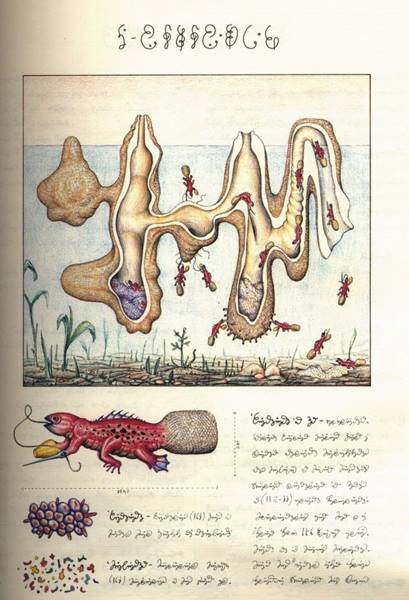 codex-seraphinianus-09