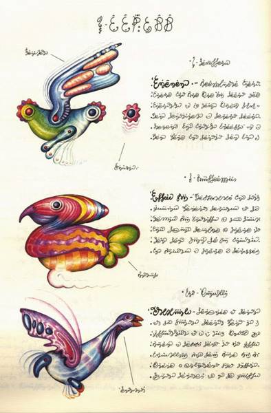 codex-seraphinianus-10