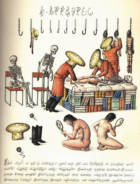 codex-seraphinianus-21