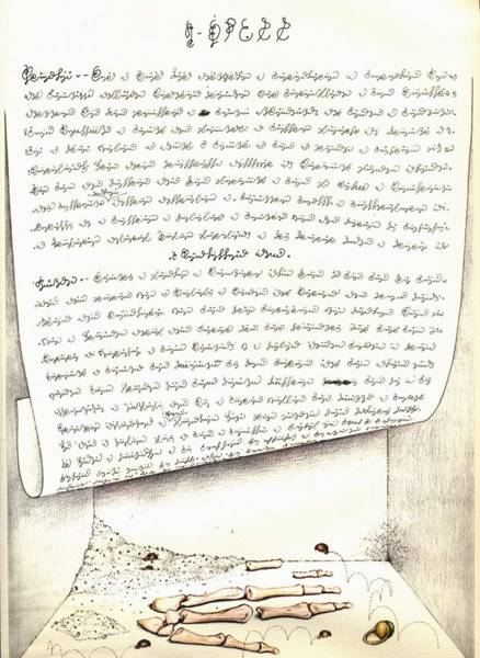 codex-seraphinianus-26