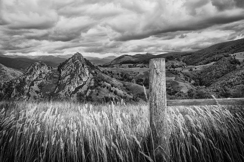 cornel-pufan-27