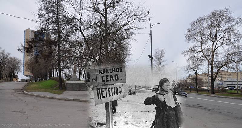 sergey-larenkov-16