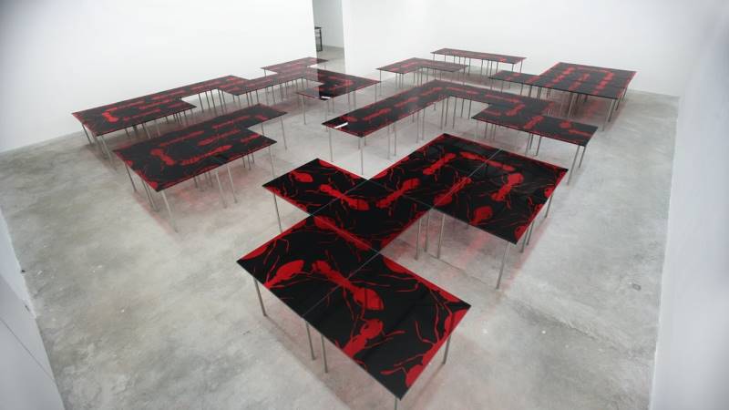 peter-kogler-14