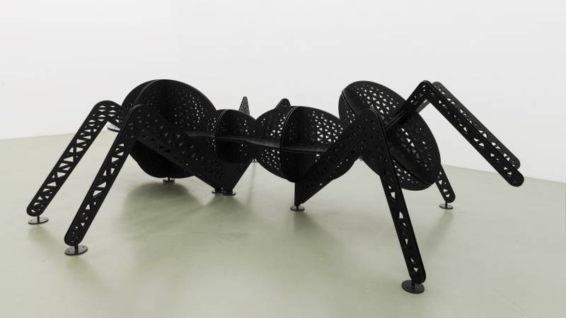 peter-kogler-27