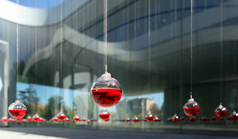erwin-redl-05