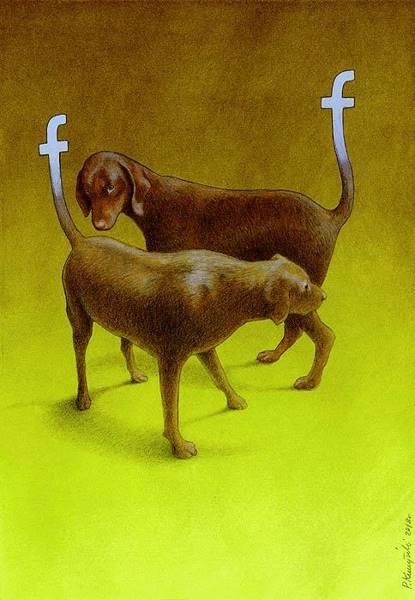 pawel-kuczynski-12
