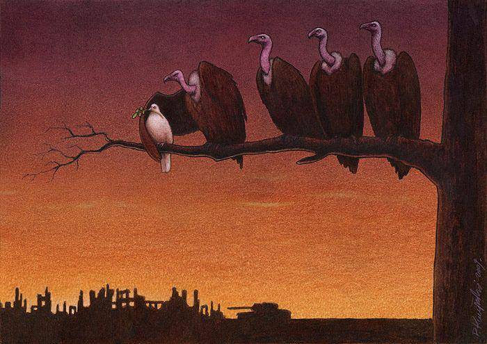 pawel-kuczynski-39
