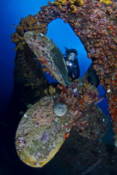 wrecked-underwater-12