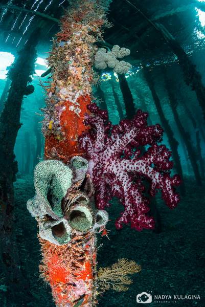 wrecked-underwater-16