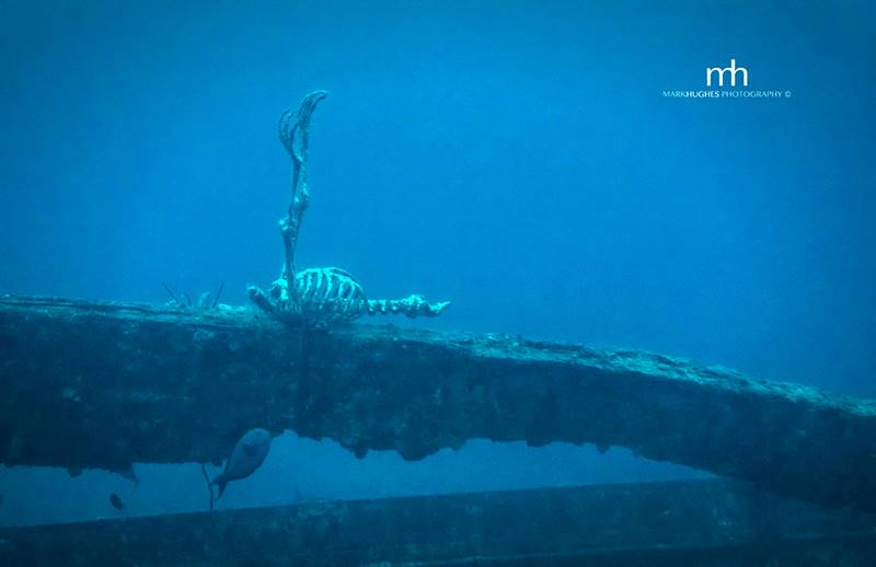 wrecked-underwater-31
