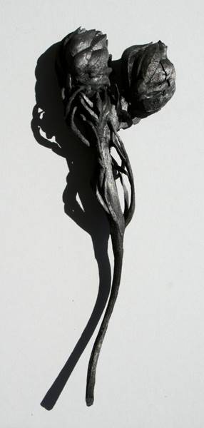 lynette-bester-06
