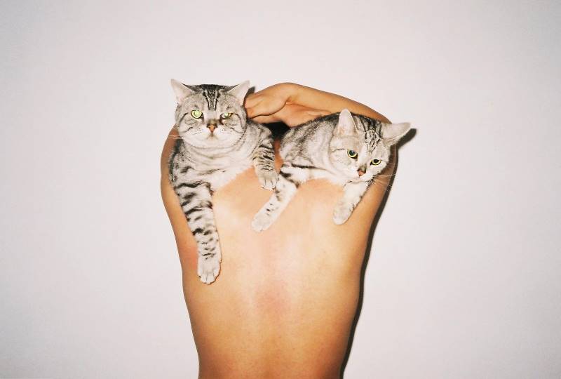 ren-hang-25