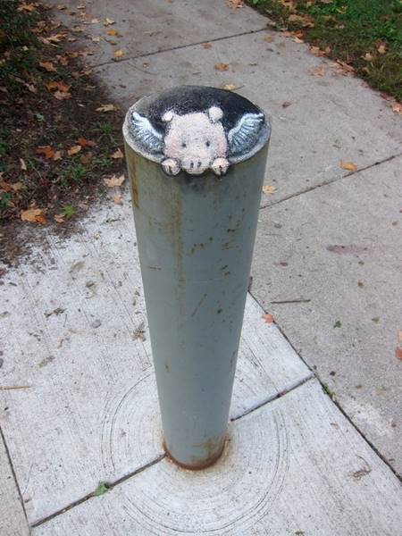 david-zinn-10