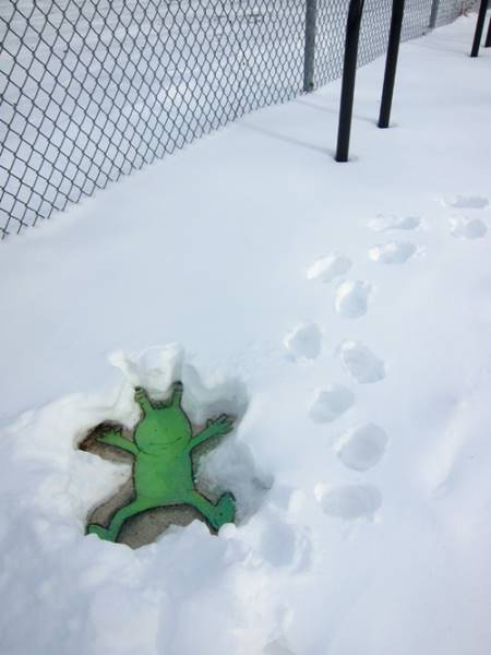 david-zinn-13