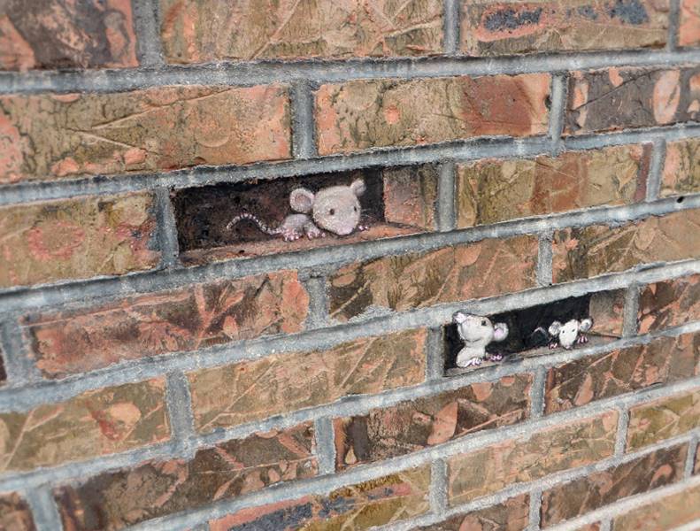 david-zinn-18